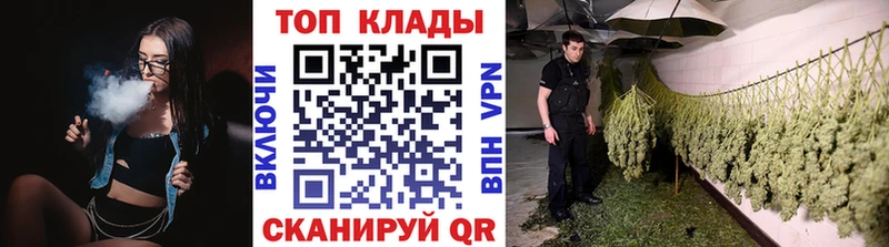 Как найти наркотики Светлогорск ГАШ  Кокаин  Мефедрон  МАРИХУАНА 