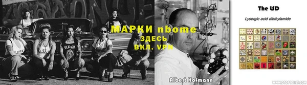 сатива Беломорск