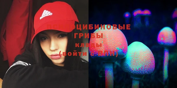 прущий лед Белоозёрский