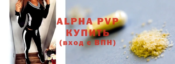 сатива Беломорск