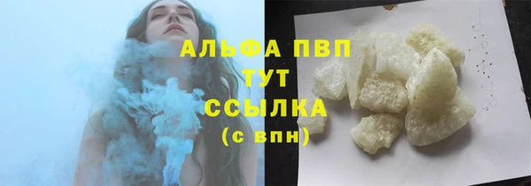 сатива Беломорск