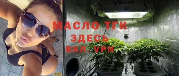 сатива Беломорск