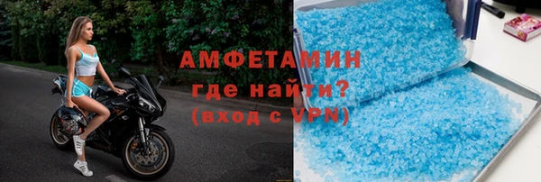сатива Беломорск