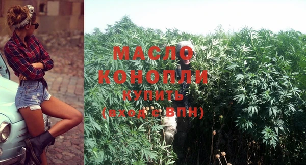 сатива Беломорск