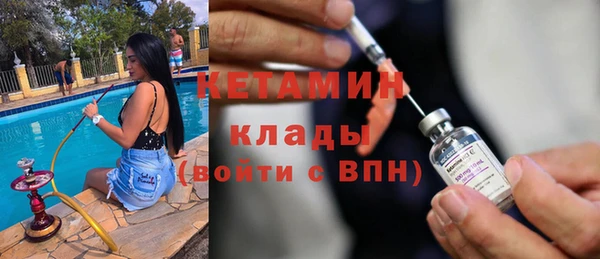 сатива Беломорск