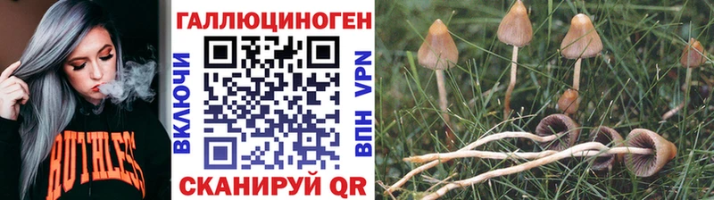 Галлюциногенные грибы прущие грибы  хочу наркоту  Светлогорск 